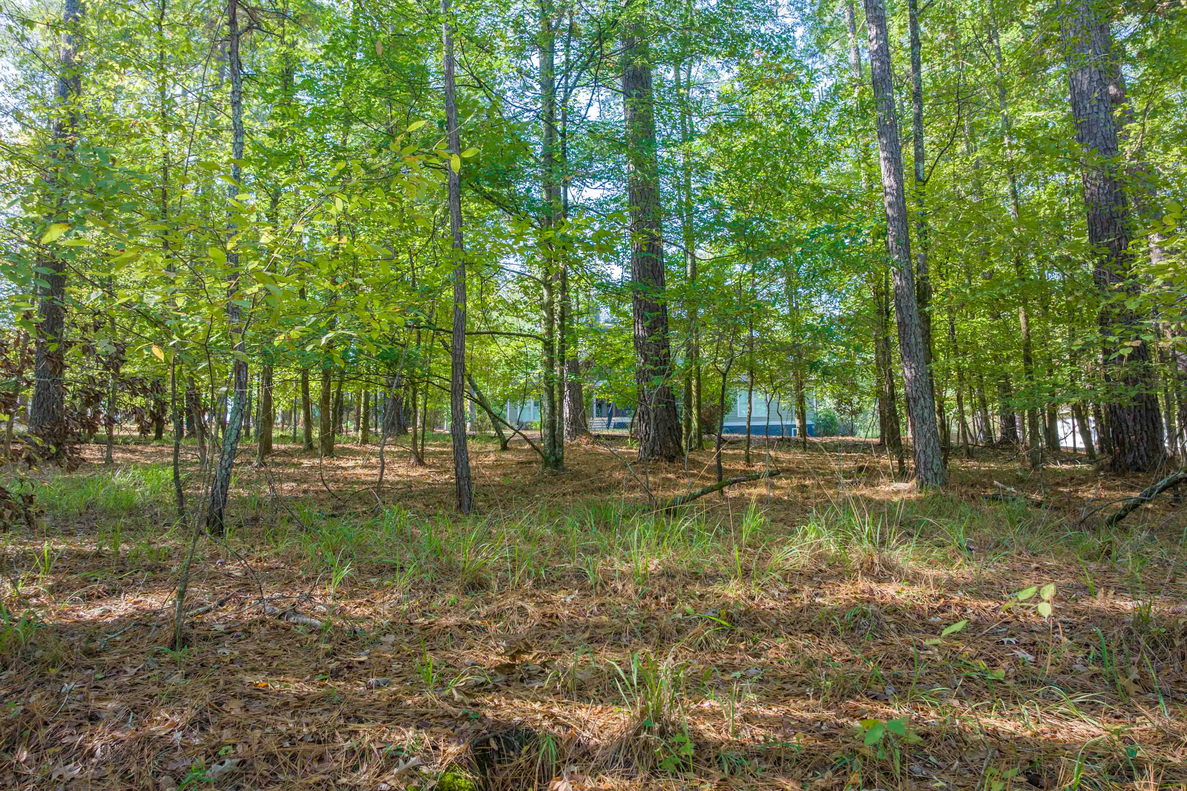 1030 Snug Harbor Court image 7